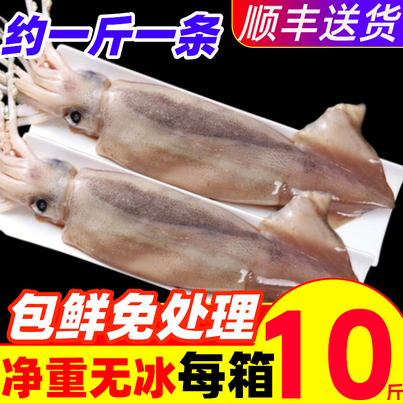 鱿鱼鲜活新鲜冷冻超大鱿鱼尤鱼整只海捕船冻海鲜水产铁板烧烤商用