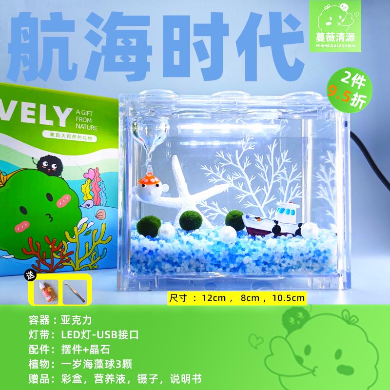 马里莫海藻球微景观生态瓶鱼缸桌面迷你盆栽水培植物球藻创意礼物