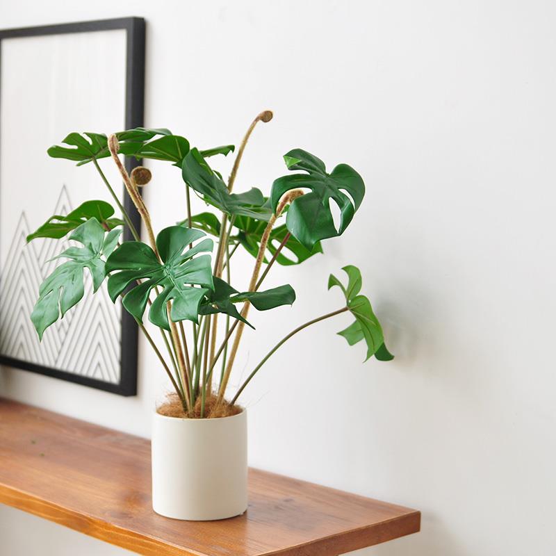 九思仿真绿植物陶瓷盆栽仿生假龟背叶蕨草类盆景橱窗装饰art275