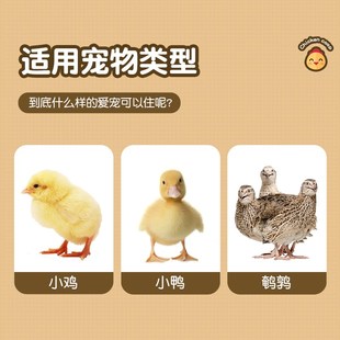 鸡笼子家用d室外养殖大号密网防雨农村芦丁自动清粪养殖笼防黄鼠