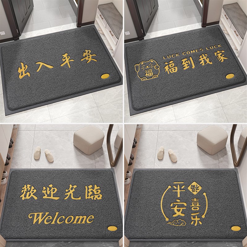 入户门地垫进门大j门口耐脏丝圈脚垫门外防滑玄关门垫2024新款地