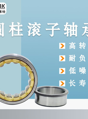 德国KBTBK进口圆柱滚子轴承N328 N330 N332 N334 N336EM