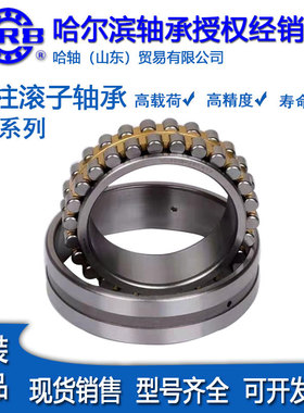 哈尔滨双列向心短圆柱滚子轴承 NN3008 3009K/P5W33精密机床轴承