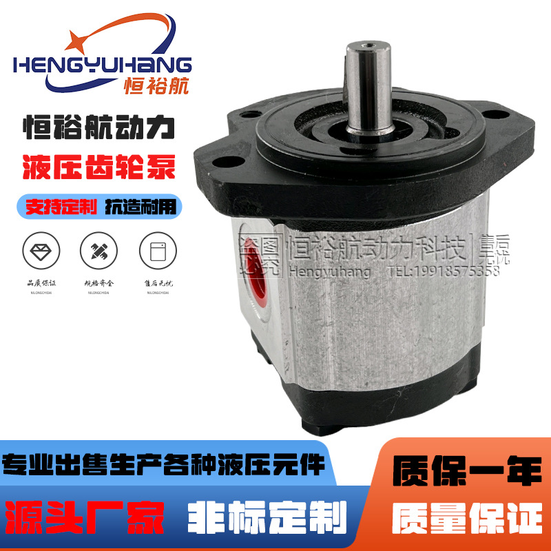 罗茨液压泵RONZIO齿轮泵05ZAG 01ZAG 02ZAG泵 02ZCG 03ZAG35油泵