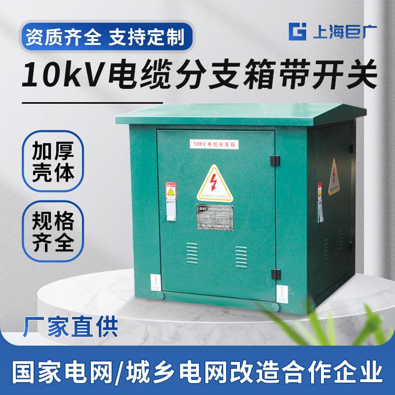 厂家10kV户外高压电缆分支箱带负荷开关FW-12/630A插拔头对接箱