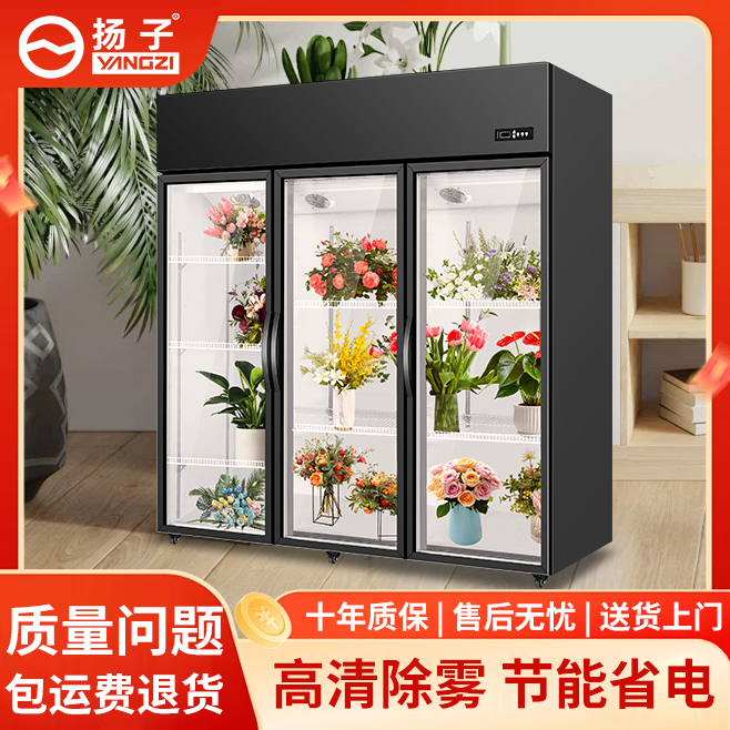 豪华贴字扬子鲜花专用保鲜柜花店冷藏风冷无霜展示柜商用展示冰柜