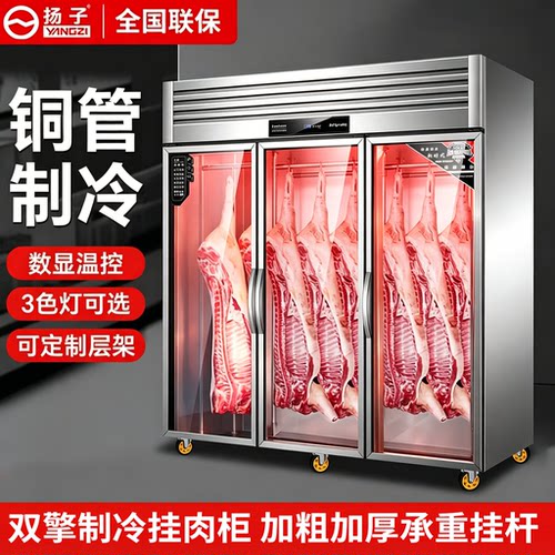 扬子挂肉柜商用保鲜冷冻柜