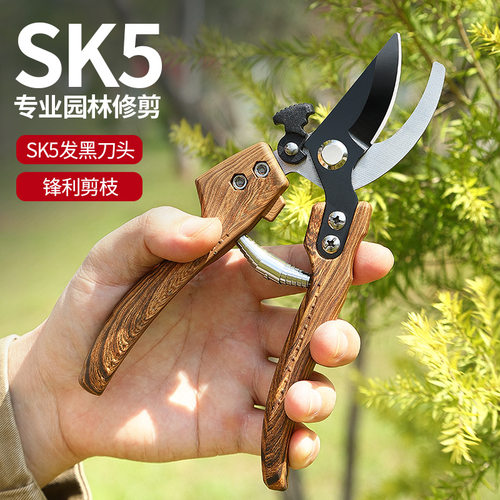 修枝剪十大名牌园艺剪刀省力修枝剪果树修剪利器粗枝省力SK5剪刀
