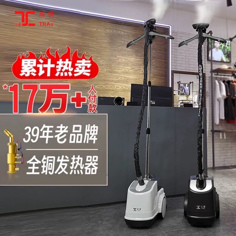挂烫机家用第一名域桥蒸汽烫衣服商用服装店专用熨烫机大功率立式图片