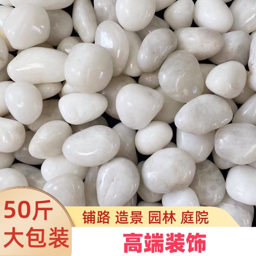 铺地白色石子景观造景铺路石子小白石头白石子大鹅卵石庭院50斤装