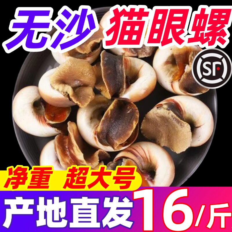 猫眼螺新鲜速冻超大鲜活沙螺香螺田玉螺海螺野生花螺贝类海鲜水产