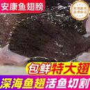 安康鱼翅膀新鲜现切深海鮟鱇鱼鳍冷冻海鲜水产巴沙鱼鳍灯笼鱼翅膀