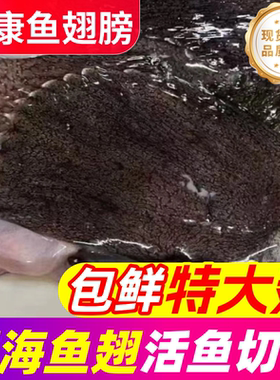 安康鱼翅膀新鲜现切深海鮟鱇鱼鳍冷冻海鲜水产巴沙鱼鳍灯笼鱼翅膀