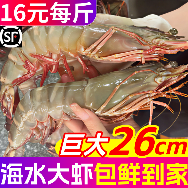 大虾鲜活超大特大青虾冷冻青岛对虾明虾海虾虾类海鲜基围虾水产