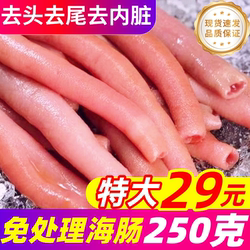 新鲜海肠鲜活海肠子大连烟台海肠皮捞饭沙虫葱油商用冷冻海鲜水产