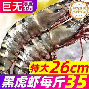 黑虎虾鲜活特大超大虾鲜活速冻九节虾深海捕捞新鲜老虎虾海鲜水产