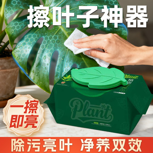 绿植物营养巾通用除污亮叶面除尘家居清洁湿巾肥料擦树叶片子神器