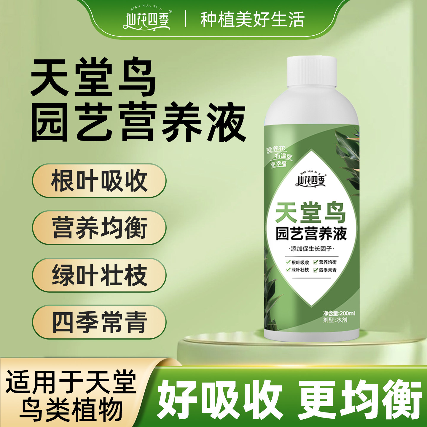 天堂鸟园艺营养液黄叶卷边绿植物治开裂鹤望兰花肥天堂鸟专用肥料