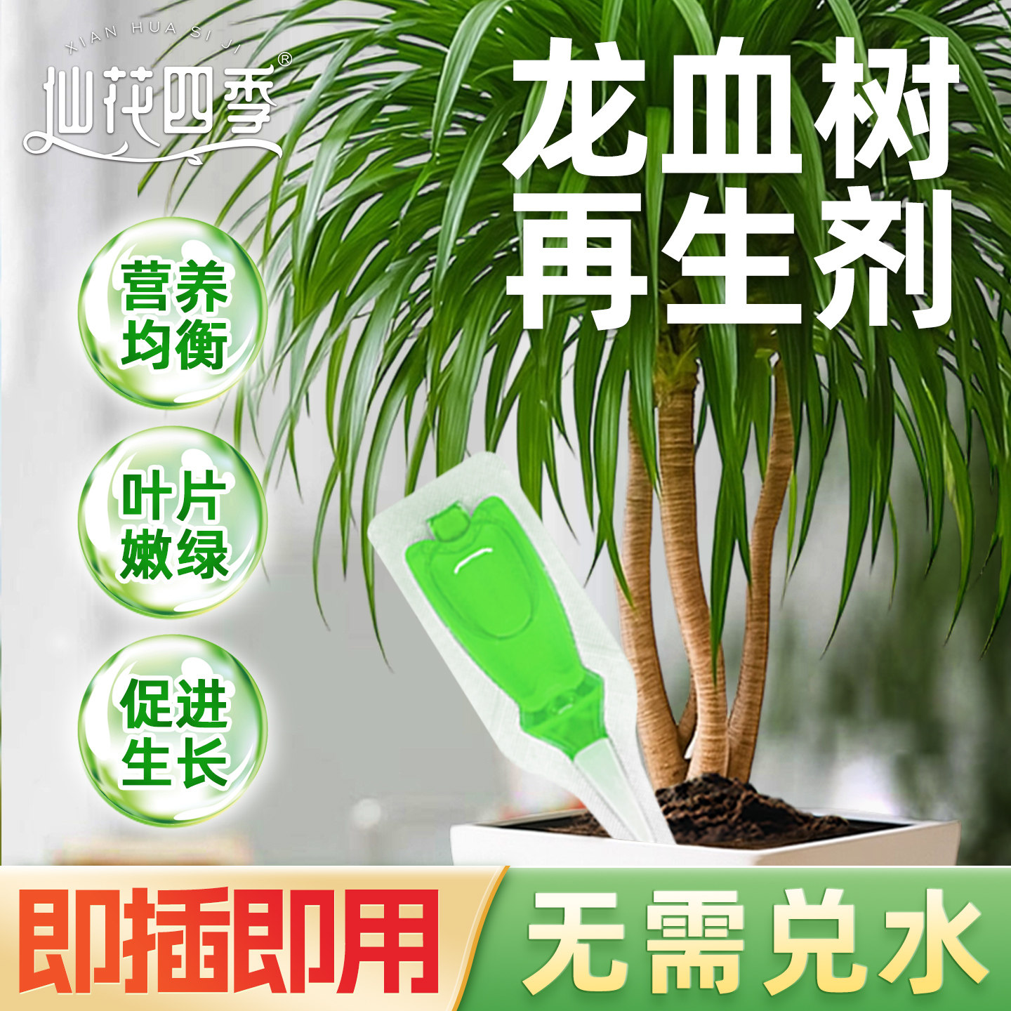 龙血树再生剂植物浓缩营养液绿植花卉盆栽家庭园艺免稀释水溶肥料