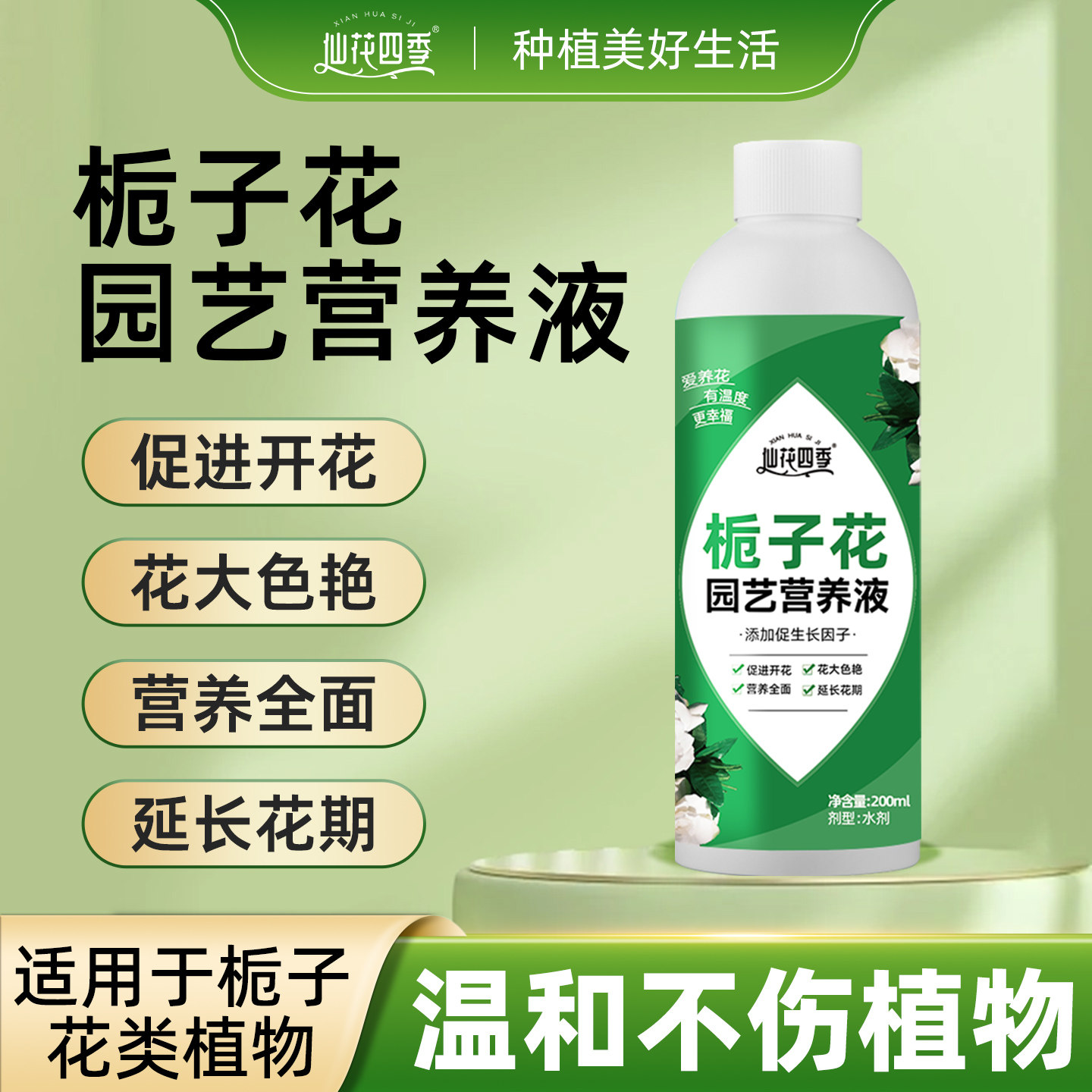 栀子花肥料专用肥营养液
