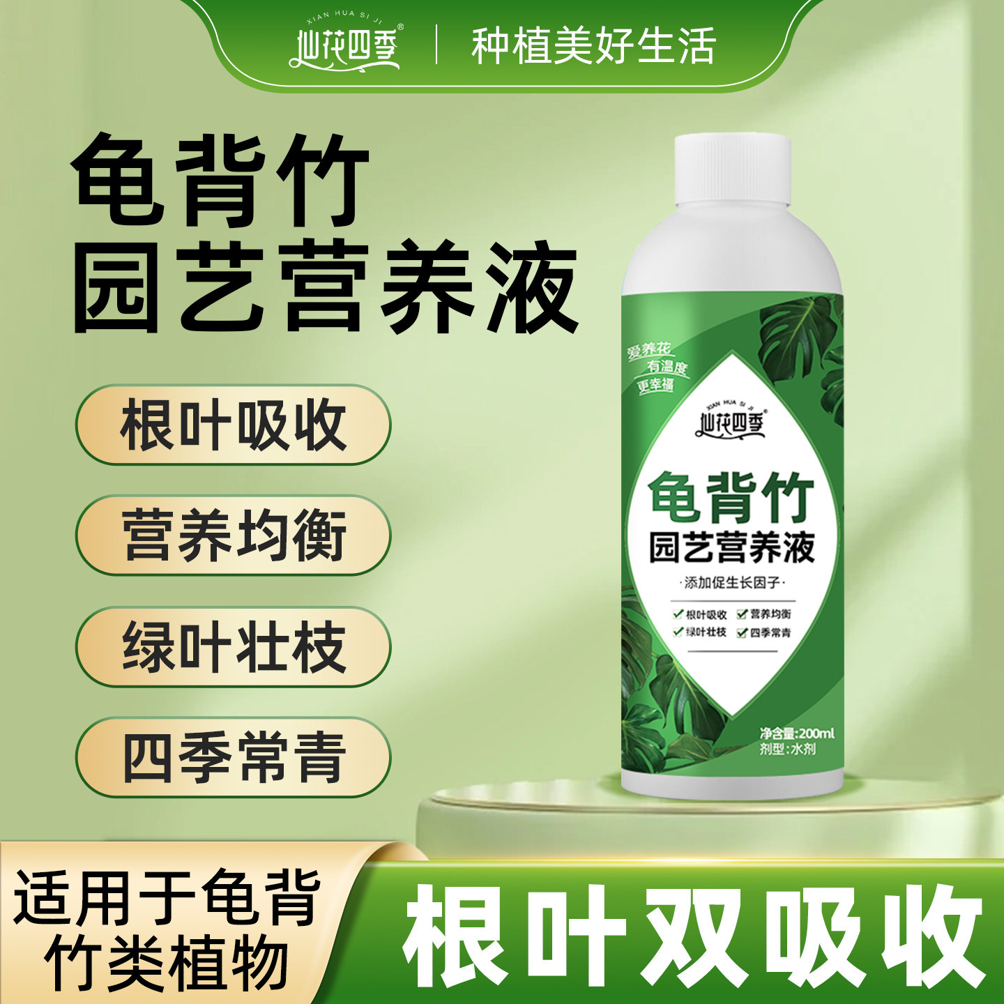 龟背竹专用营养液花肥料叶子发黄天南星科园艺叶面肥液体水溶肥料