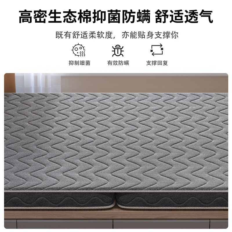 天然椰棕床垫棕垫偏硬棕榈儿童榻榻米学生家用可折叠定制乳胶