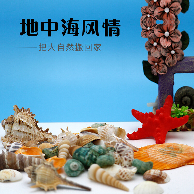 贝壳海星鱼缸造景网袋装底砂装饰水族箱微景观拍摄道具材料