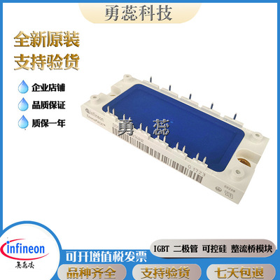 整流桥模块 DDB6U100N12R