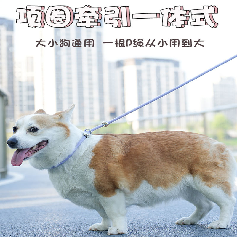 宠兜仔中大型犬p绳遛狗绳加粗防爆冲训练宠物狗狗牵引绳p链子