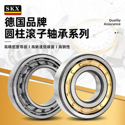 德国SKX高速轴承SL045008PP SL045026PP SL045032PP 精密轴承