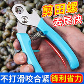 田螺剪尾神器剪螺丝屁股专用钳子厨房夹螺蛳石螺剪刀去尾机不锈钢
