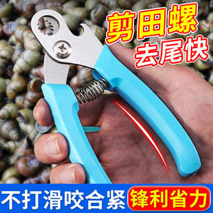 田螺剪尾神器剪螺丝屁股专用钳子厨房夹螺蛳石螺剪刀去尾机不锈钢