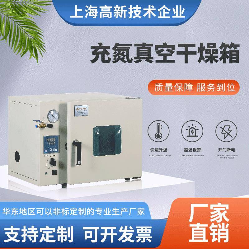 厂家供应非标可定自制VO-6210LC充氮真空干燥箱充氮真空烘箱