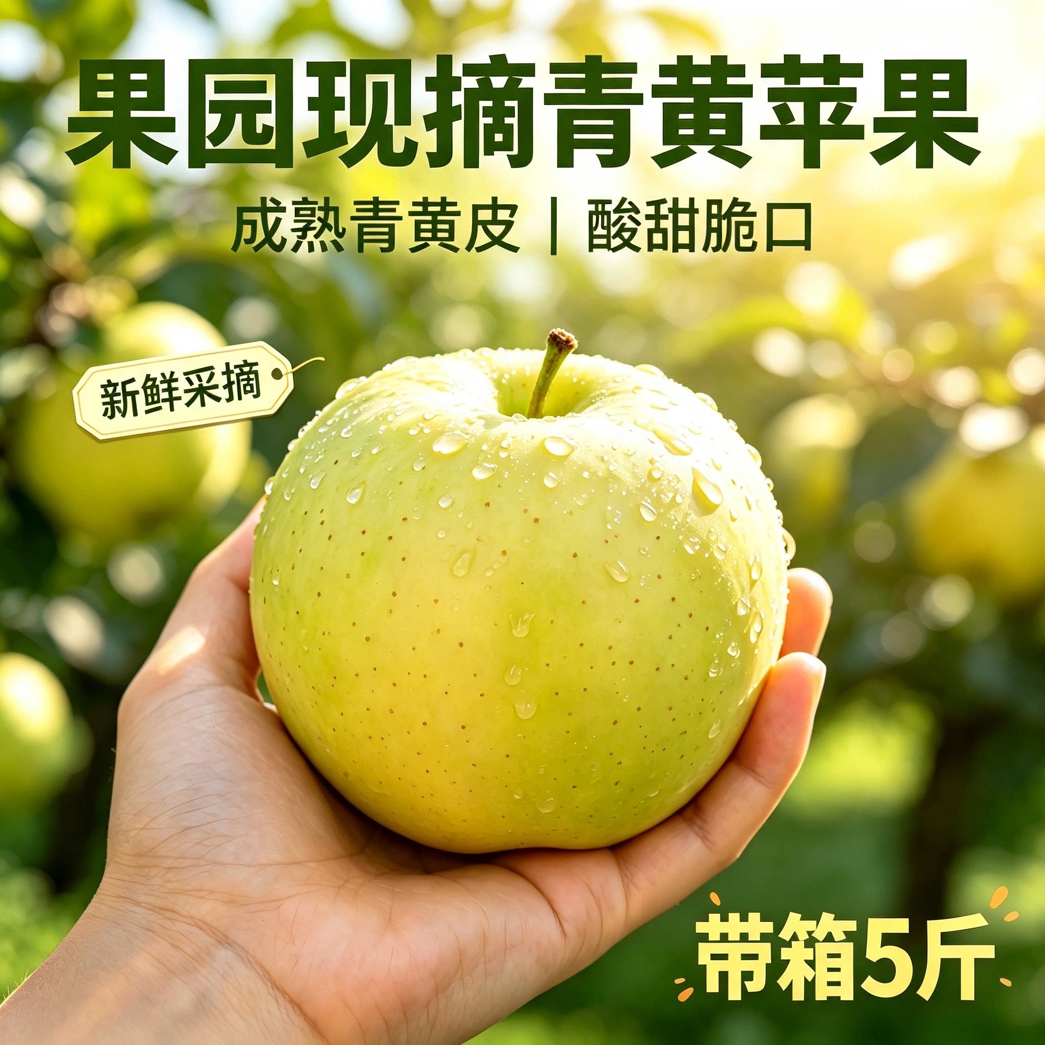 2026现摘现发正宗青苹果酸甜苹果