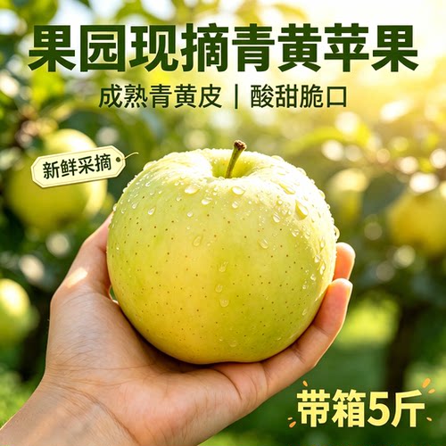 2026现摘现发正宗青苹果酸甜口新鲜水果当季农家自种孕妇可吃大果