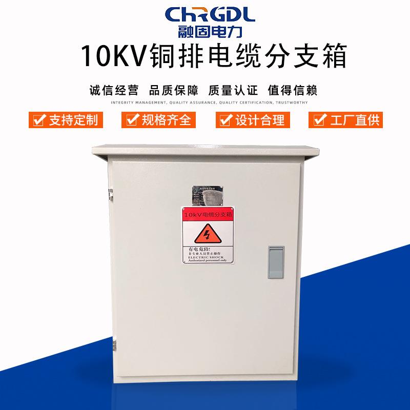 厂家现货供应成套设备户外高压白色10KV铜排高压分接箱电缆分支箱