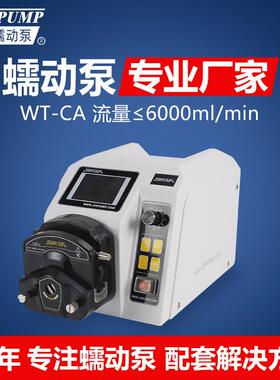WT-600CA蠕动泵计量泵软管蠕动泵厂家wg600s蠕动泵wt600