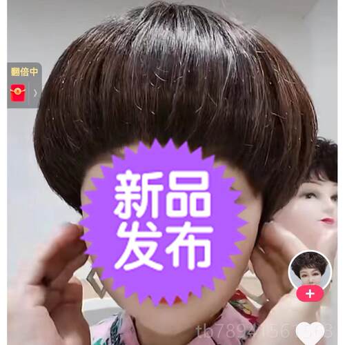 高档真发弹力网全 时尚个性蘑菇 老女年中假发短直发