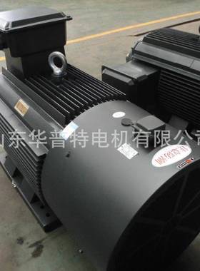 IP55高效节能电机250W变频调速YVP2-电动机15w22w