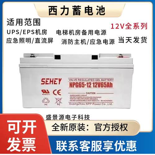 SEHEY西力SH65 NPG100-12蓄电池12V17.24.38.40.55.150.200.250AH