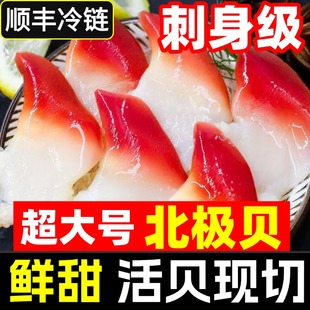 北极贝刺身即食加拿大鲜贝大号切片新鲜北极贝日式北极贝拼盘海鲜