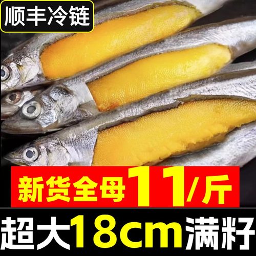 多春鱼满籽新鲜人吃鱼籽