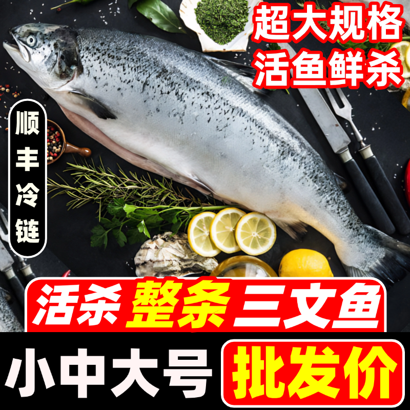 三文鱼整条半条刺身冰鲜国产新疆商用海鲜非进口挪威大西洋鲑鱼