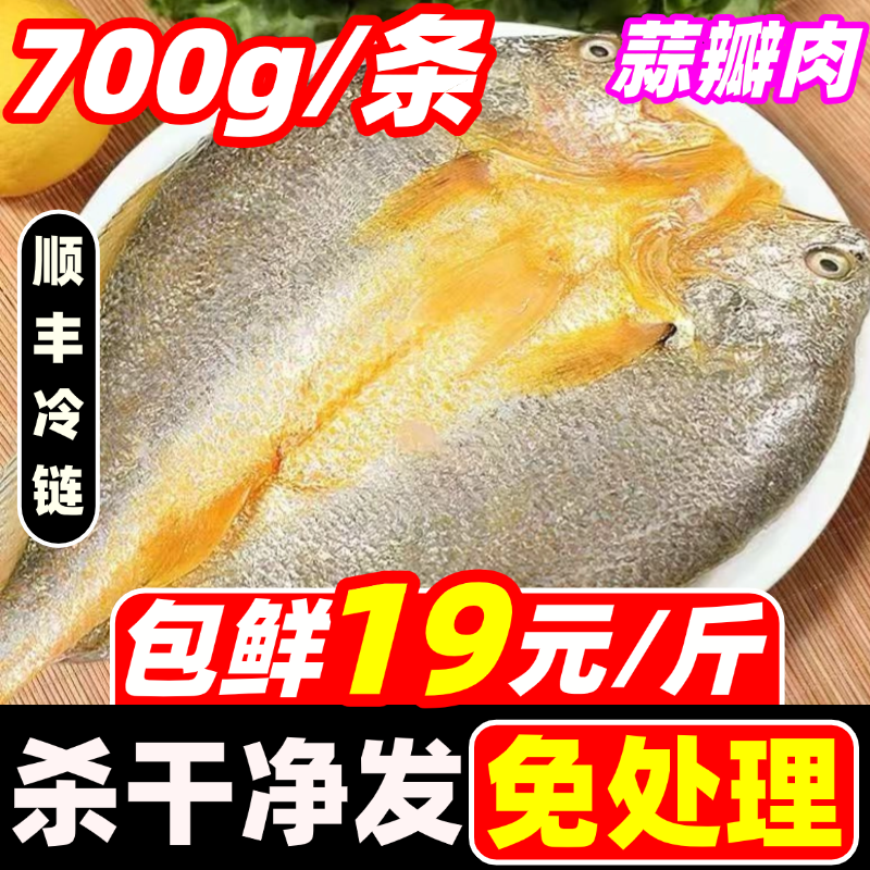 黄鱼鲞鲜活特大黄花鱼开背三去黄瓜鱼免处理深海黄鱼商用海鲜水产,水产肉类/新鲜蔬果/熟食,黄鱼,淘宝优惠券,粉丝福利购,淘宝优惠卷