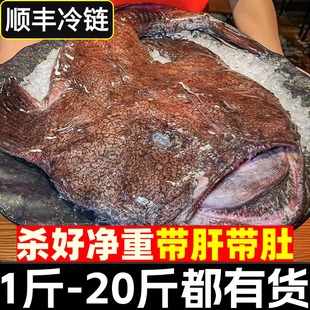 安康鱼新鲜鱼肝鱼肚蛤蟆鱼魔鬼鱼冷冻水产特大丑鱼灯笼鱼深海海鲜