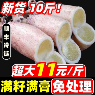 籽乌海兔子满籽全籽小鱿鱼墨鱼仔笔管鱿笔管鱼鲜活海鲜速冻水产