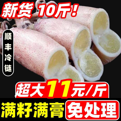 籽乌海兔子满籽全籽小鱿鱼墨鱼仔笔管鱿笔管鱼鲜活海鲜速冻水产