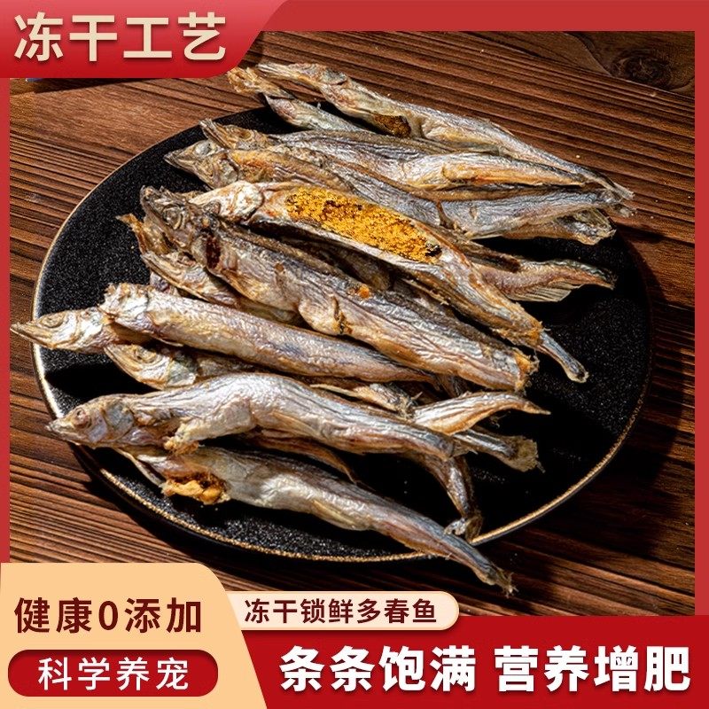 猫咪零食冻干多春鱼营养增肥发腮满籽狗狗通用小鱼干幼小猫粮拌粮,宠物/宠物食品及用品,猫冻干零食,淘宝优惠券,粉丝福利购,淘宝优惠卷