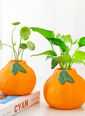 橘子陶瓷小花瓶摆件客厅插花水培植物鲜花绿萝铜钱草桌面装饰品