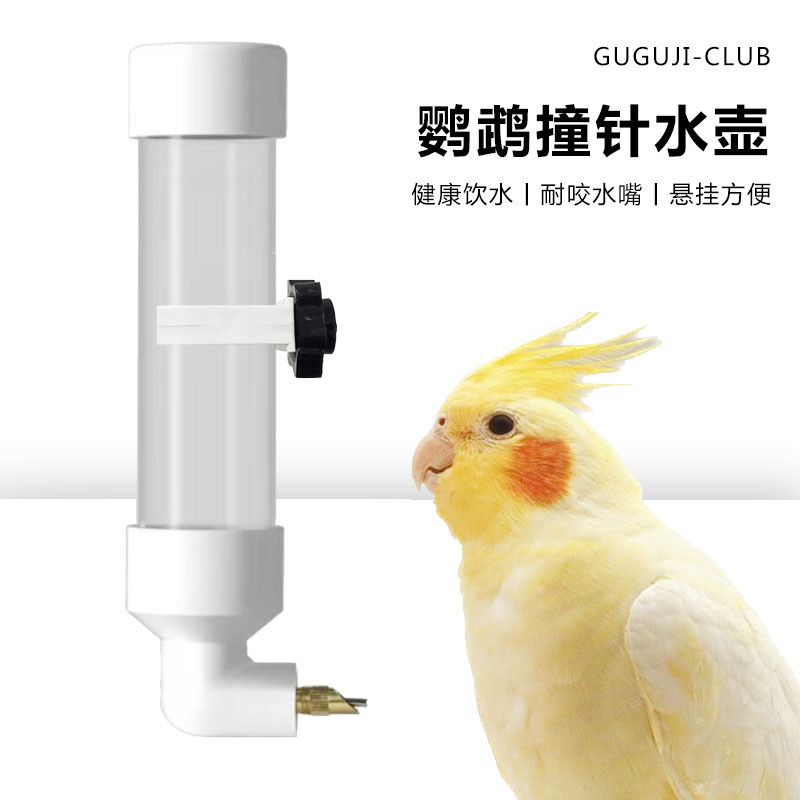 宠物撞针水壶压克力饮水器咬针防咬鹦鹉喂水器虎皮玄凤牡丹兔子用